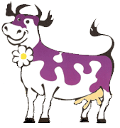 Purple Cow